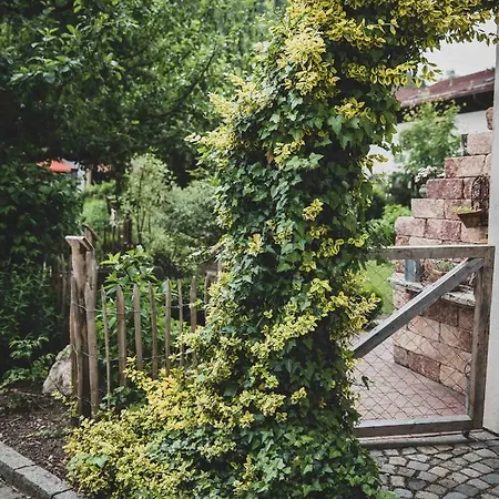 Traudl Apartment *